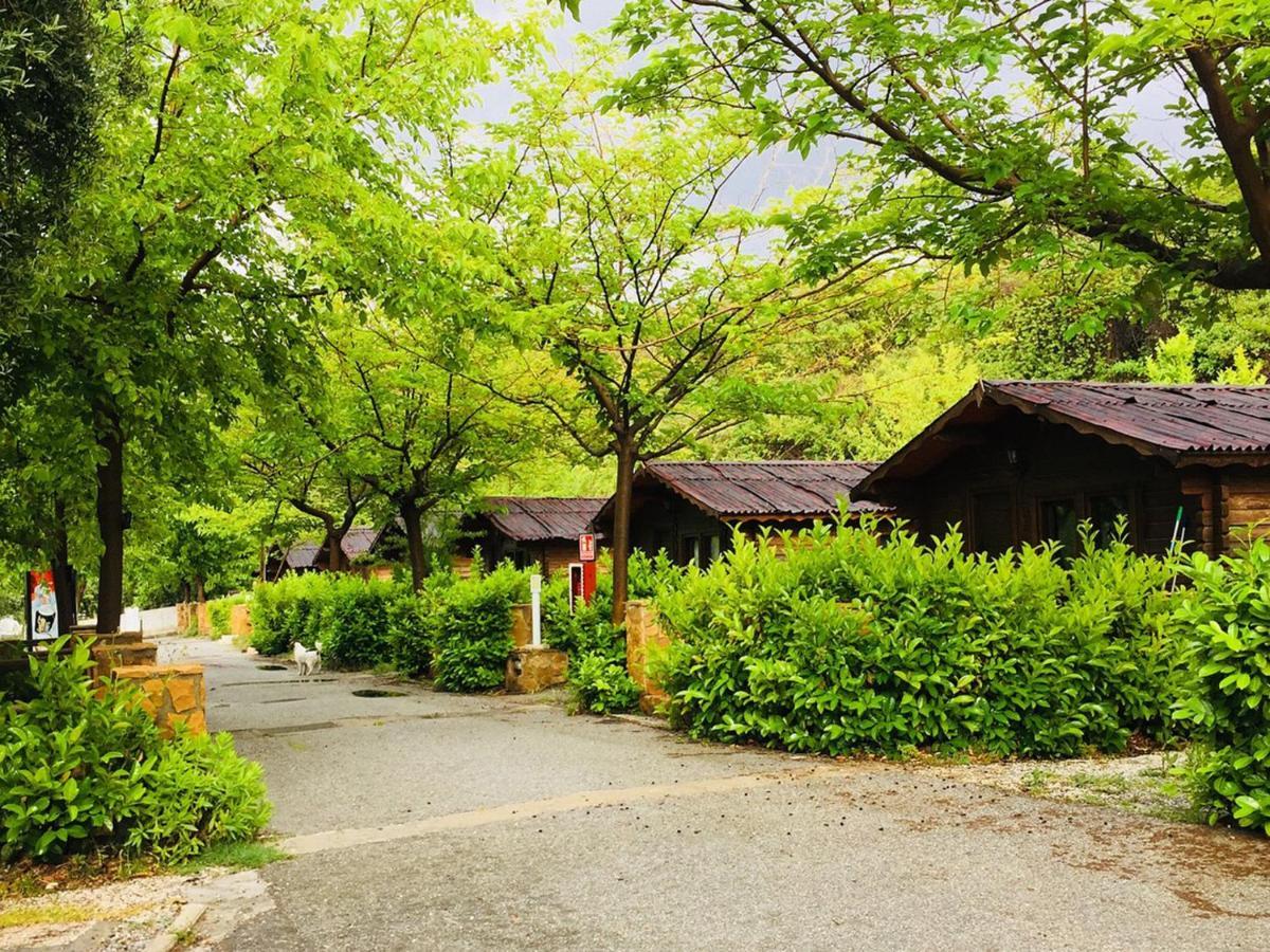Fuente Del Lobo Glamping & Bungalows - Adults Only Пинос-Хениль Экстерьер фото