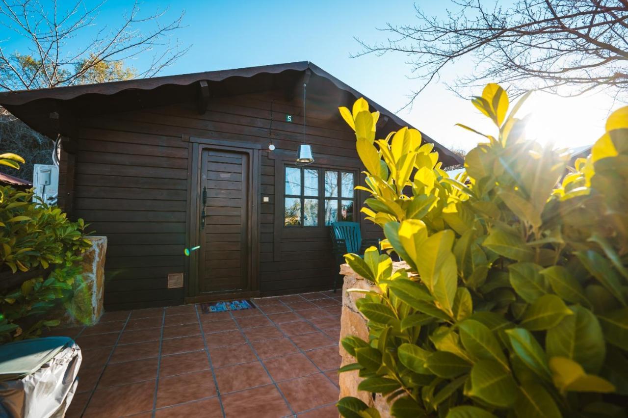 Fuente Del Lobo Glamping & Bungalows - Adults Only Пинос-Хениль Экстерьер фото
