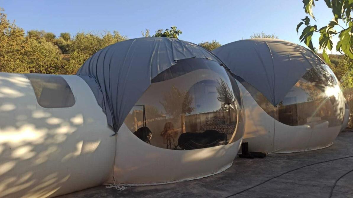 Fuente Del Lobo Glamping & Bungalows - Adults Only Пинос-Хениль Экстерьер фото